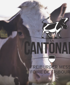 Newsletter du 13.05.2018