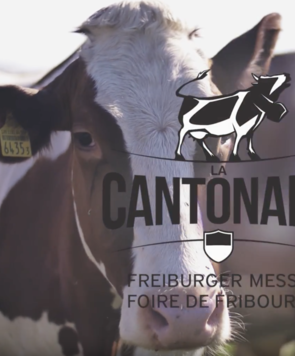 Newsletter du 13.05.2018